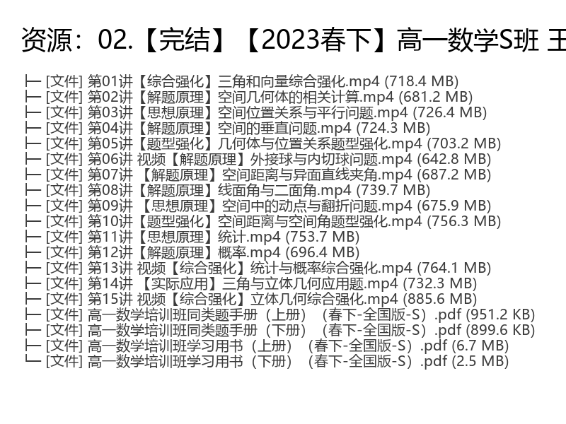 2023春下学期高一数学S班视频课程完整版 王子悦